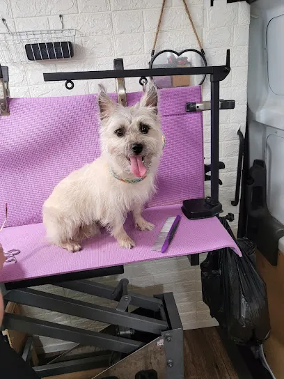 Laundromutt mobile pet grooming and pet boarding — photo from their website