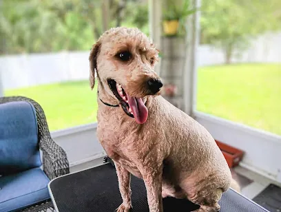 Fur Their Comfort Mobile Vet Tech Solutions — photo from their website