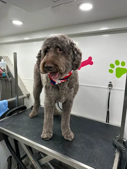 Dogi's Mobile Pet Grooming — photo from their website