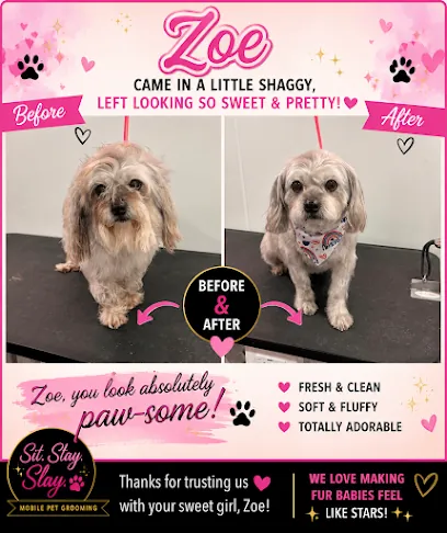 Sit Stay Slay Mobile Pet Grooming — photo from their website