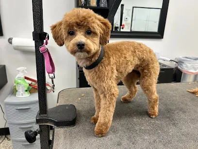 Freshcuts Salon & Mobile Dog Grooming — business logo from Google