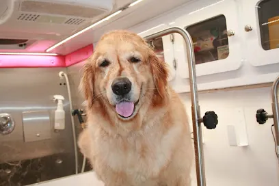 Mobile Pet Grooming West Palm Beach — photo from their website
