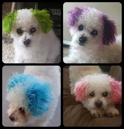 Ana's Poochie Beauty Mobile Haven — photo from their website