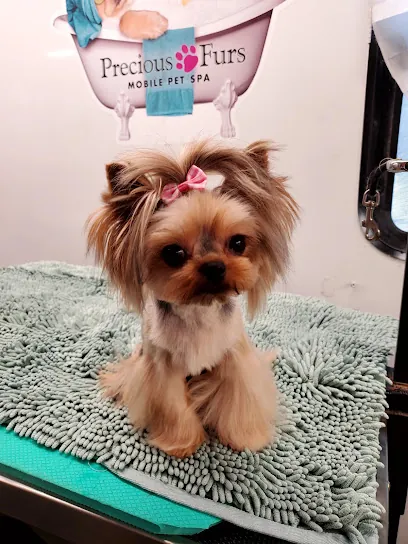 Precious Furs Mobile Pet Spa — photo from their website