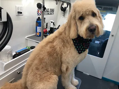 Peace Paws Mobile Pet Spa — photo from their website