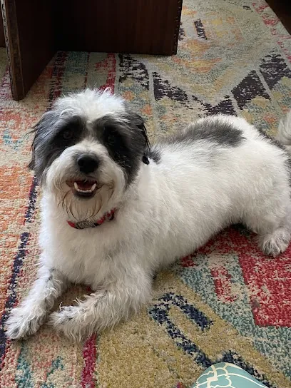 AMS Grooming — photo from their website