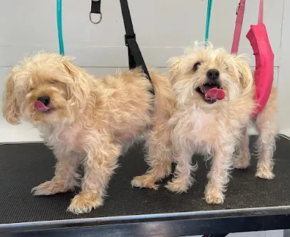 Jillian’s Mobile Pet Grooming — photo from their website
