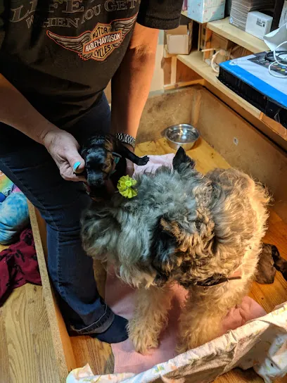 Mobile Dog Grooming of Long Island — photo from their website