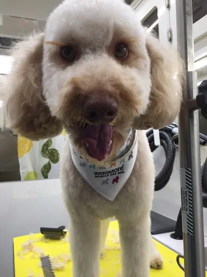 Wagmore Mobile Pet Spa, Inc. — photo from their website