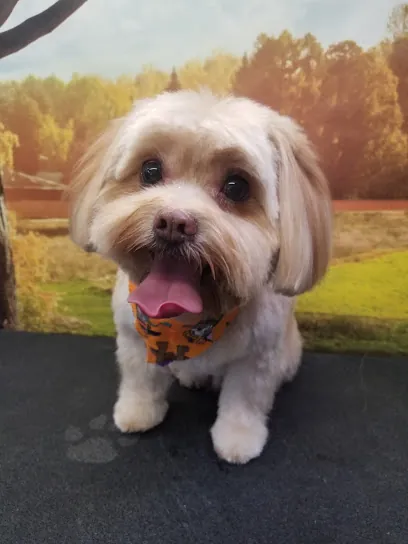 Ooh La La Mobile Dog Spaw Inc. — photo from their website