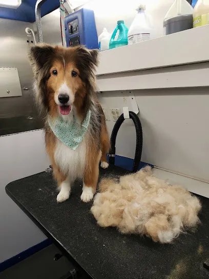 Doggy Zone Mobile SPaw — photo from their website