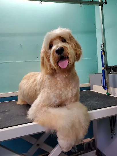 Hounds Around Town Mobile Grooming — photo from their website