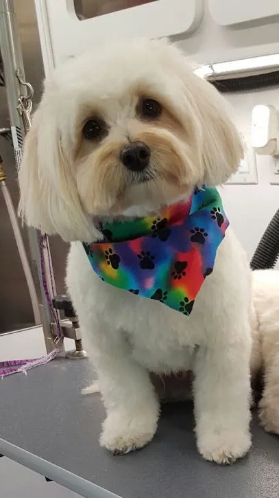 Finley's Upper Cut Mobile Grooming — photo from their website