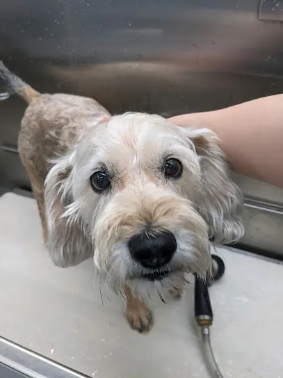 Trusted Tails Mobile Bath & Nails — photo from their website