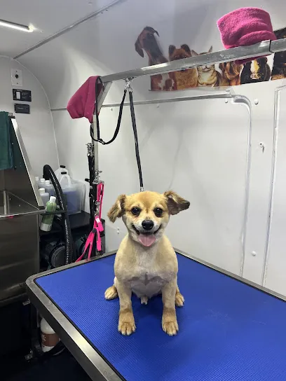 You Lucky Dog Mobile Spaw — photo from their website