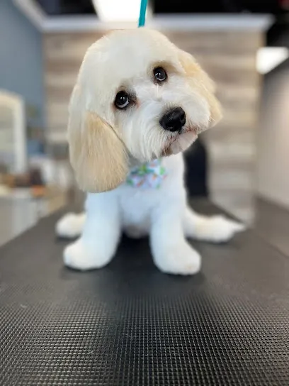 Golden Hour Grooming, Mobile Pet Spa — photo from their website