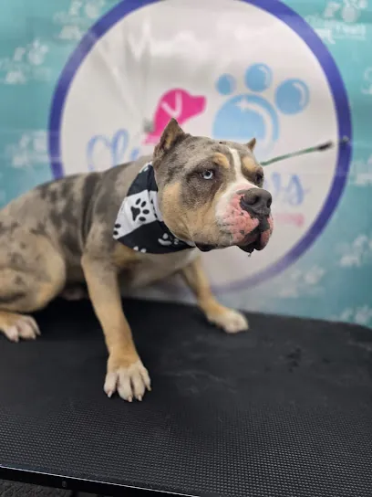 Clean Paws Mobile Grooming — photo from their website