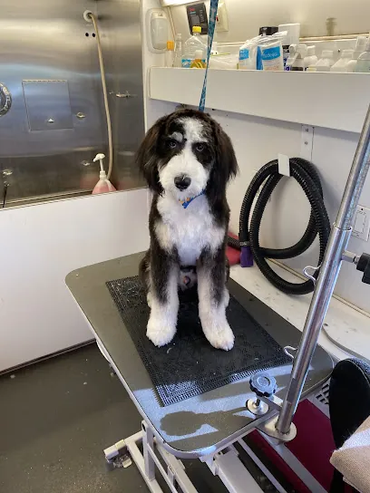 Canine Concierge Mobile Grooming Spa — photo from their website