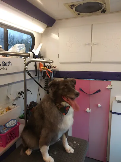 Beggin' For A Bath Mobile Dog Grooming — photo from their website