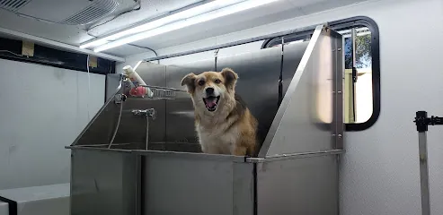 UpDog Mobile Groomer — photo from their website