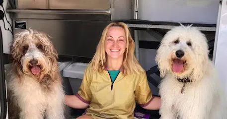 Groom Service Mobile Pet Spa — photo from their website