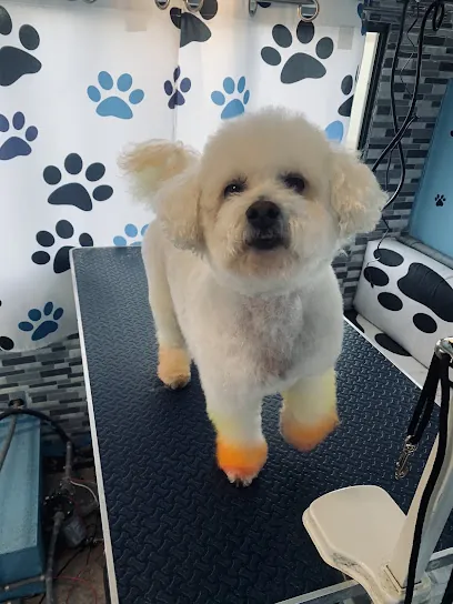 Maddie's Paw Spa mobile groomer — photo from their website