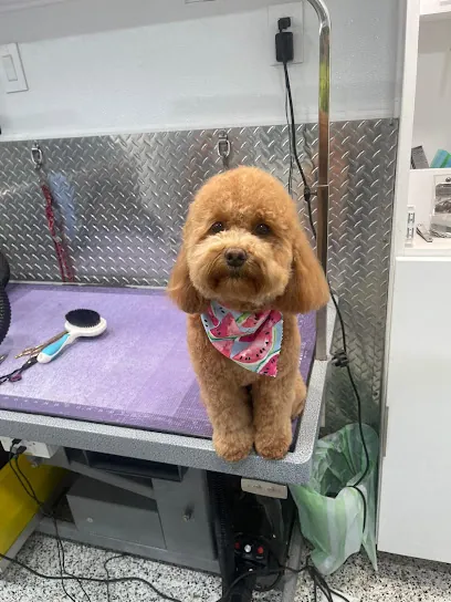 Aventura Pet Grooming Mobile — photo from their website
