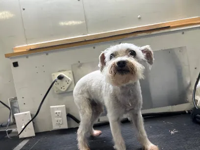K9-11 MOBILE GROOMING — photo from their website