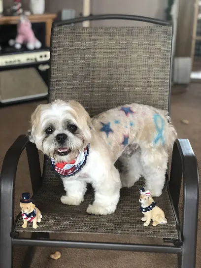 Groom and Zoom Holistic Mobile Dog Spa, LLC — photo from their website