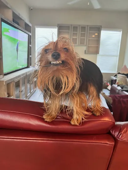 Wag On Wheels Mobile Pet Grooming — photo from their website