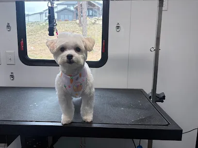 Lenny's Place Mobile Grooming — photo from their website