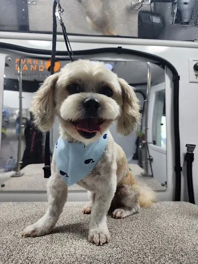 Furry Land Mobile Pet Grooming Pittsburgh — photo from their website
