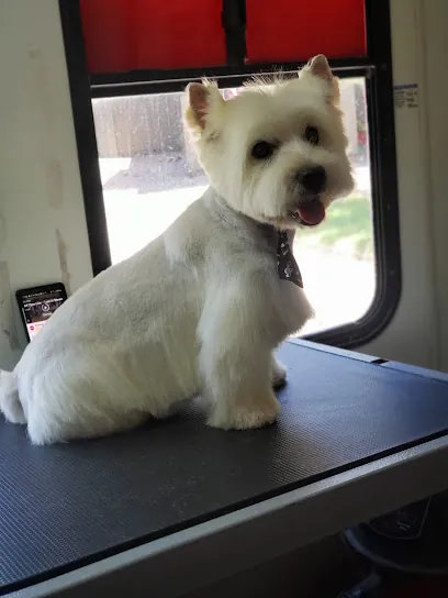 Woof and Fluff Mobile Pet Styling — photo from their website