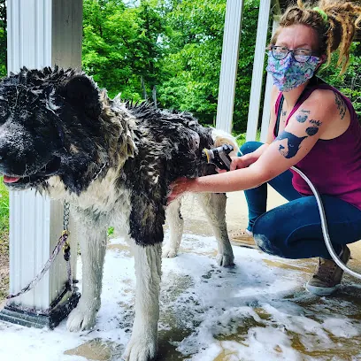 Less Stress House Call Grooming, LLC — photo from their website
