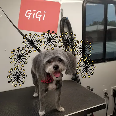 True Love Mobile Pet Salon — photo from their website