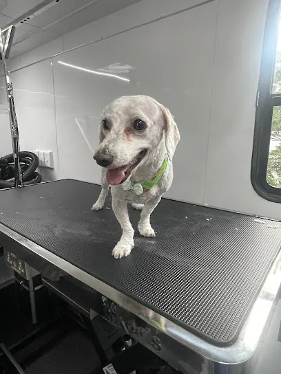 Magic Paws Mobile Pet Grooming — photo from their website