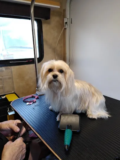 Happy Camper Mobile Grooming — photo from their website