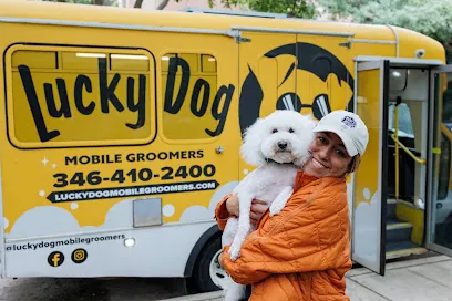Lucky Dog Mobile Groomers - Houston, TX — photo from their website