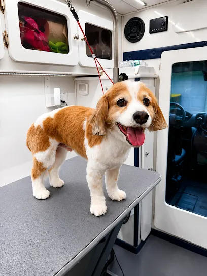 Pet Kingdom Inc - Mobile Pet Grooming Service — photo from their website