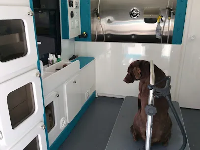Dirty Dawg Mobile Grooming — photo from their website