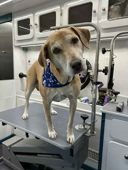 Barks and Bubbles Mobile Spa LLC — photo from their website