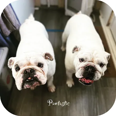 Pawtastic LLC — photo from their website