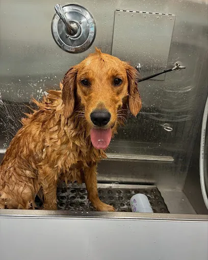 Wag-N-Go Mobile Grooming — photo from their website