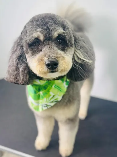 Paws & Relax Mobile Pet Spa — photo from their website