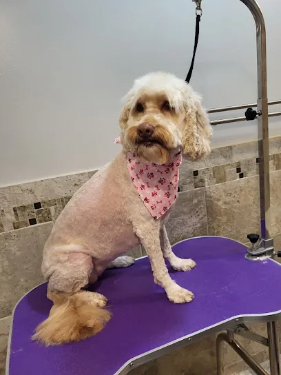 D.D.s In-Home Pet Spa. — photo from their website