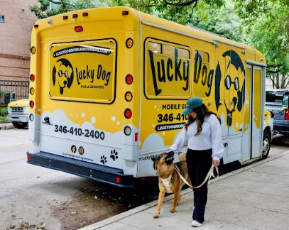 Lucky Dog Mobile Groomers – Tucson, AZ — photo from their website