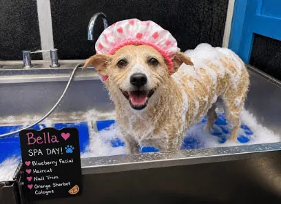 Freedom paws mobile groomer — photo from their website