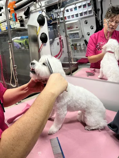Pawfect Cuts Mobile Dog Spa — photo from their website