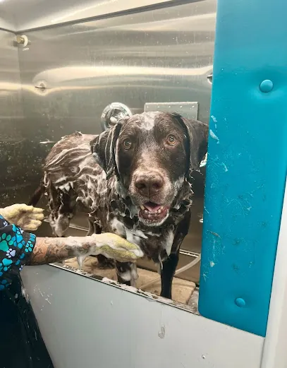 Proper Paws Luxury Mobile Grooming, LLC — photo from their website