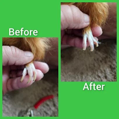 Pawfections Mobile Nail Trims — photo from their website